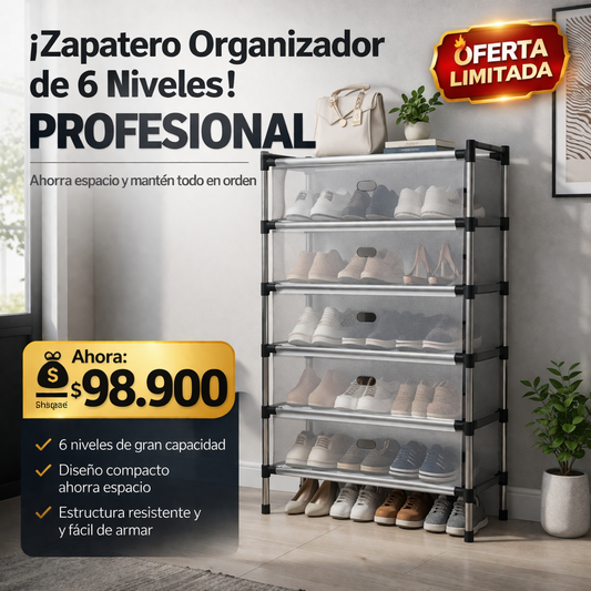 Zapatero De 6 niveles