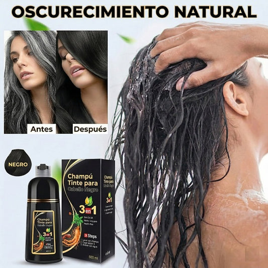 Shampoo Black Hair
